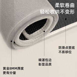 入户门地垫高级感家用防滑耐磨大门口进门垫客厅大地毯可裁剪垫子
