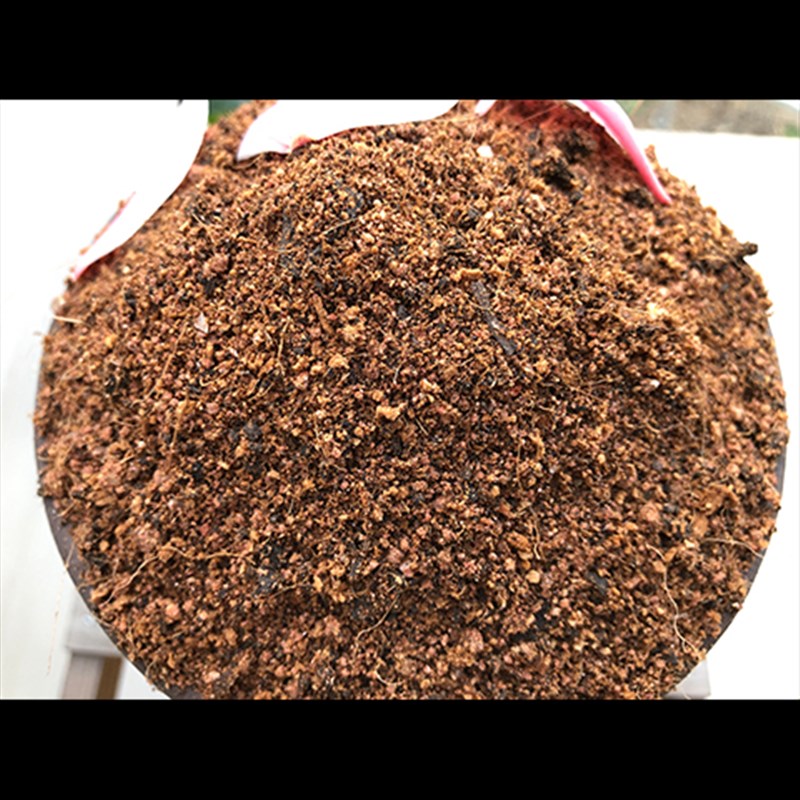 小叶紫檀专用土小叶紫檀土盆栽盆景营养土酸性沙质土壤种植土肥料