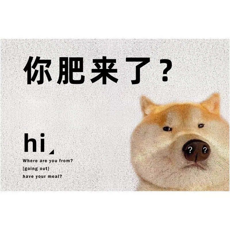 你空手来啊地垫入户门玄关脚垫家用进门门口防滑门垫宠物定制地毯,居家布艺,入户地垫,淘宝优惠券,粉丝福利购,淘宝优惠卷