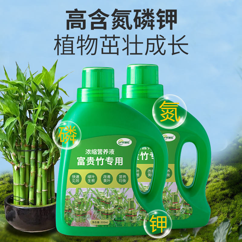 富贵竹营养液水培植物专用肥转运竹观音竹龙竹文昌竹发财竹肥料