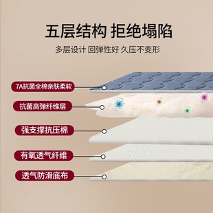 1米2单人床垫子软垫加厚防滑可折叠软硬适中垫褥子纯棉床褥垫定制