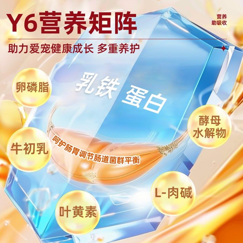 Y6幼食主义幼猫全价奶糕猫粮营养益生元离乳幼年期健康成长,宠物/宠物食品及用品,猫冻干零食,淘宝优惠券,粉丝福利购,淘宝优惠卷