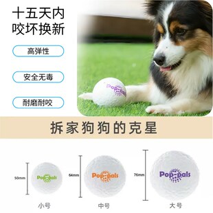 贵为爆爆球狗狗玩具巡回追逐互动玩具耐咬安全宠物户外神器宠物球