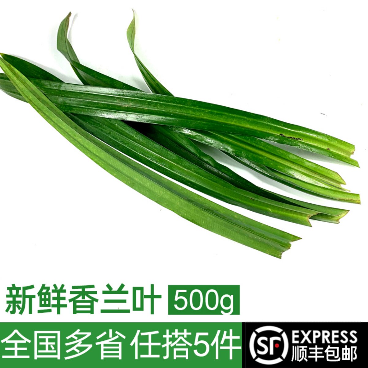 新鲜香兰叶500g 斑斓叶糕点蛋糕甜品饮料煮饭包鸡香料食材5件包邮