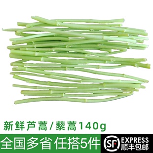新鲜藜蒿500g 芦蒿蒌蒿去根去叶农家自种泥蒿当季新鲜蔬菜野菜