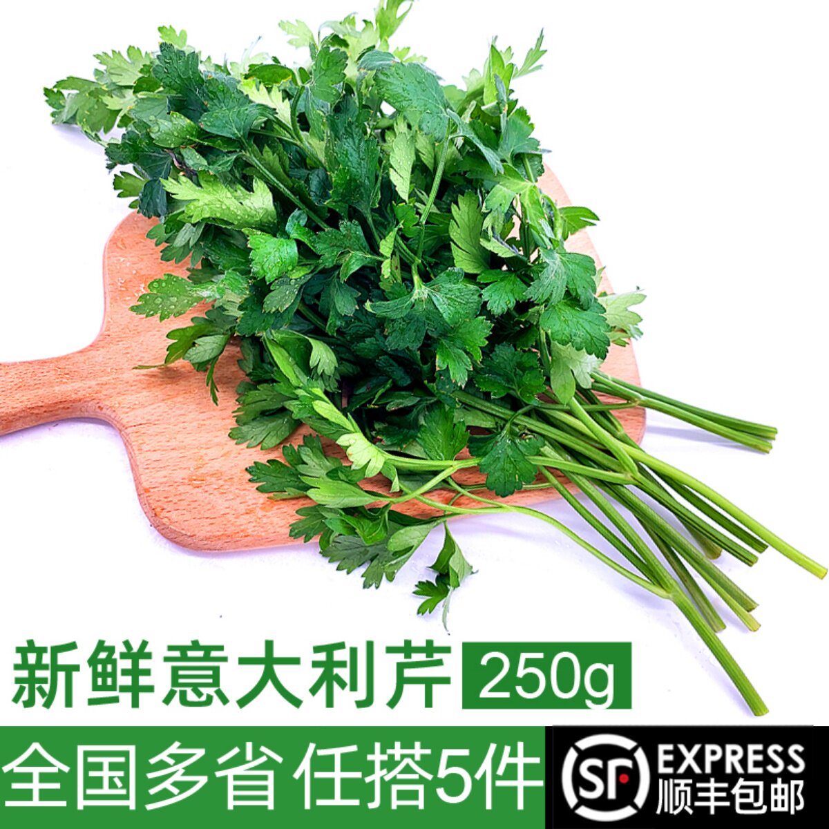 新鲜意大利芹250g 欧芹香芹法国香菜 巴西里香料 西餐食材