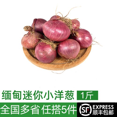迷你小洋葱500g紫皮时鲜西餐配菜