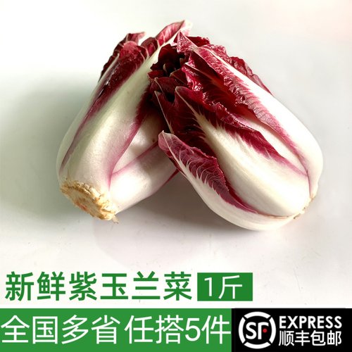 绿食者紫玉兰菜500g新鲜蔬菜