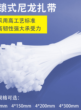 速发式固龙带带4*200mm塑料卡扣尼定电线扎线束扎0条黑白色