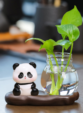 速发水萝绿培花瓶可爱熊猫家居摆件位公室桌面工办玻璃器皿创意小
