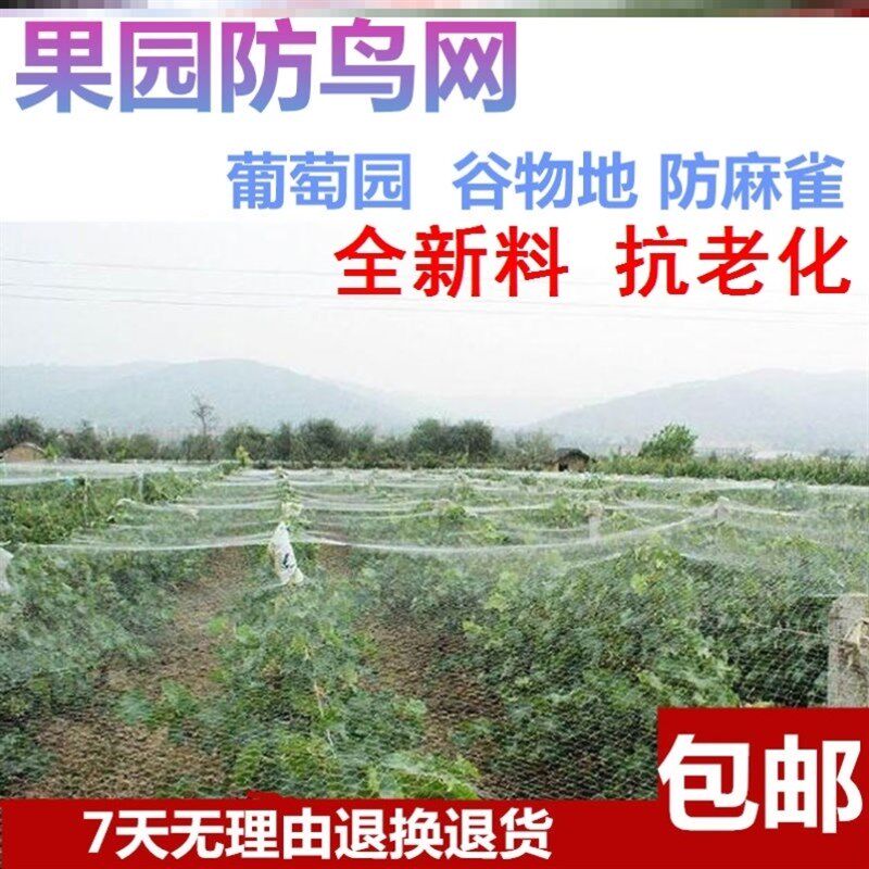 速发水果树保护网防虫网罩防鸟果园尼龙网麻防网雀养殖网葡萄架网