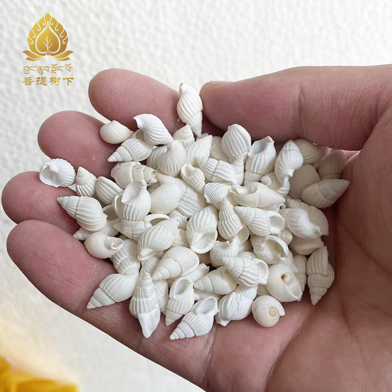 现货速发迷你小海螺修曼茶罗宝石供曼扎宝石七宝小白海螺七宝石一