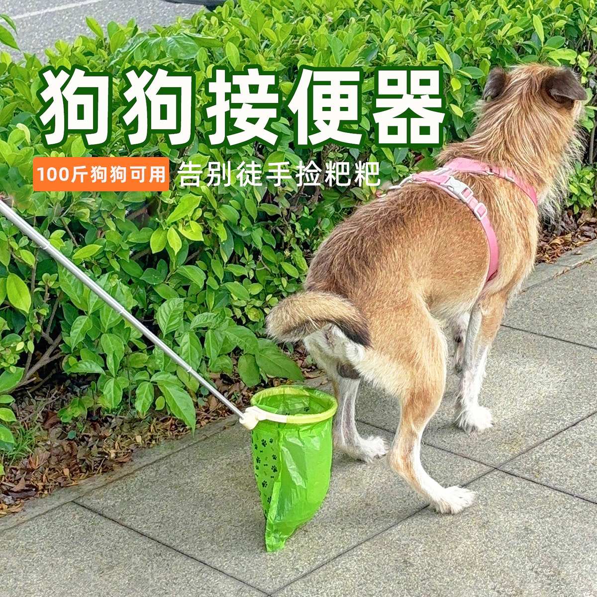 狗狗接便器接便袋宠物狗狗拾便袋外出遛狗神器捡狗屎铲屎官神器