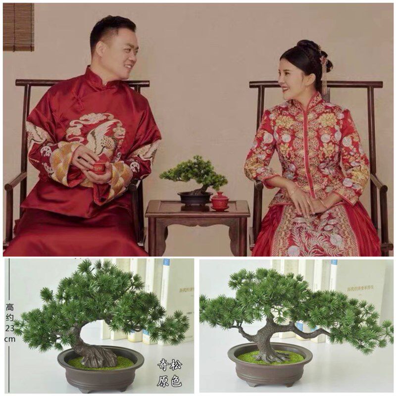 速发中摄风婚纱国影道具工笔树秀禾拍照古装桌摆件绿植常青画松树