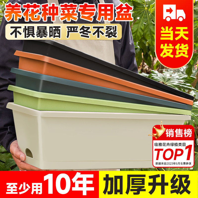 速发花盆台种菜盆莓菜种植神栽草蔬盆器箱长方形家用塑料长条盆