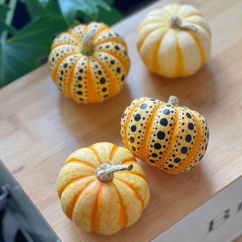 速发礼诞节小南照摆件办公室内装饰新鲜真花拍瓜道具节日圣物