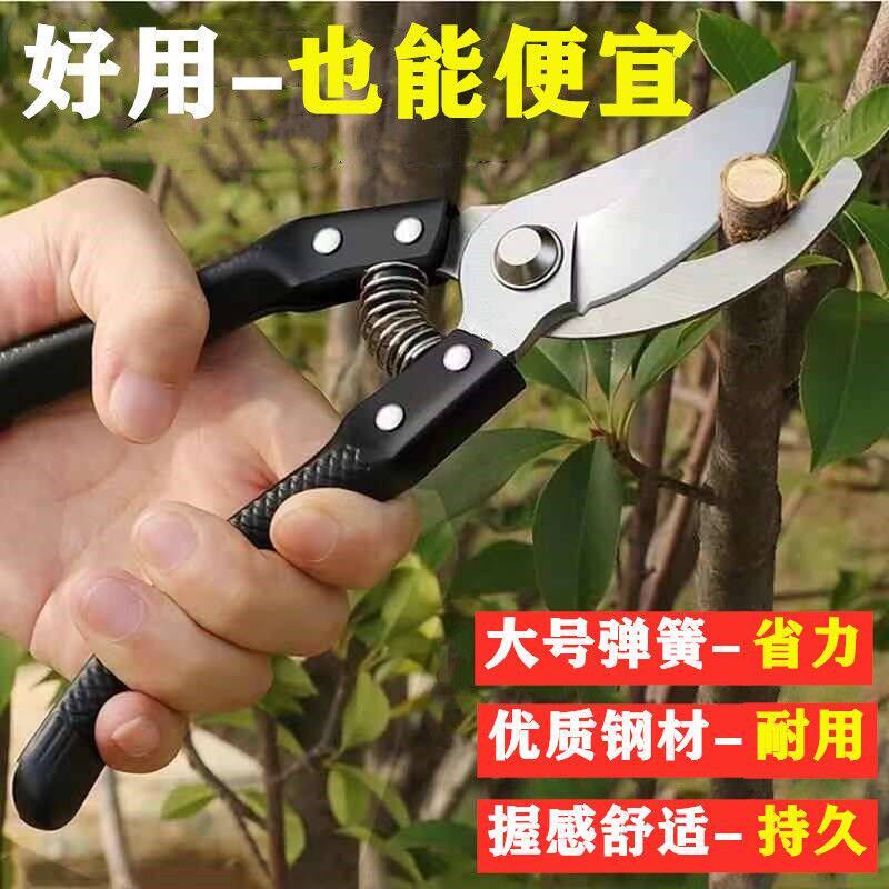 速发家庭园艺修花剪盆栽修剪花艺果树枝大开口粗枝剪刀家用品质SK