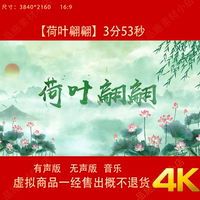 荷葉翩翩 古典舞蹈配樂水墨荷花節(jié)日舞臺LED大屏高清背景視頻素材