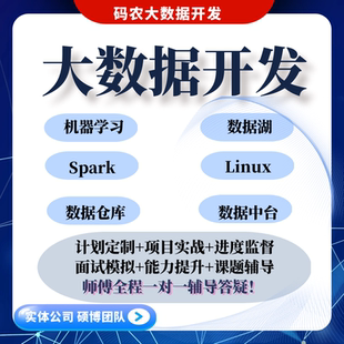 大数据开发hadoop课程项目辅导spark就业找工作简历修改