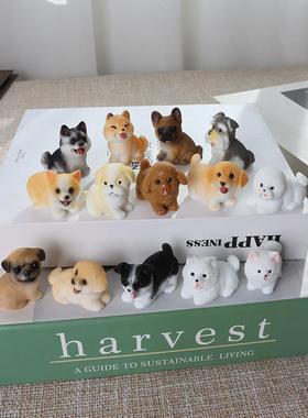 可爱迷你小狗狗摆件微景观园艺造景汽车蛋糕饰品diy玩偶配件礼物