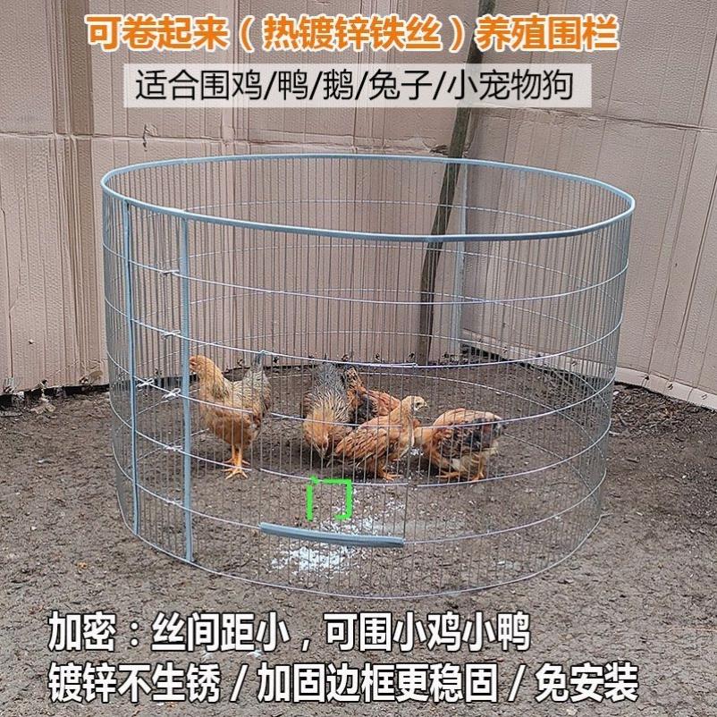 户外养鸡棚防雨家用庭院楼顶家禽养殖鸭鹅兔子繁殖笼室外鸽舍鸡窝