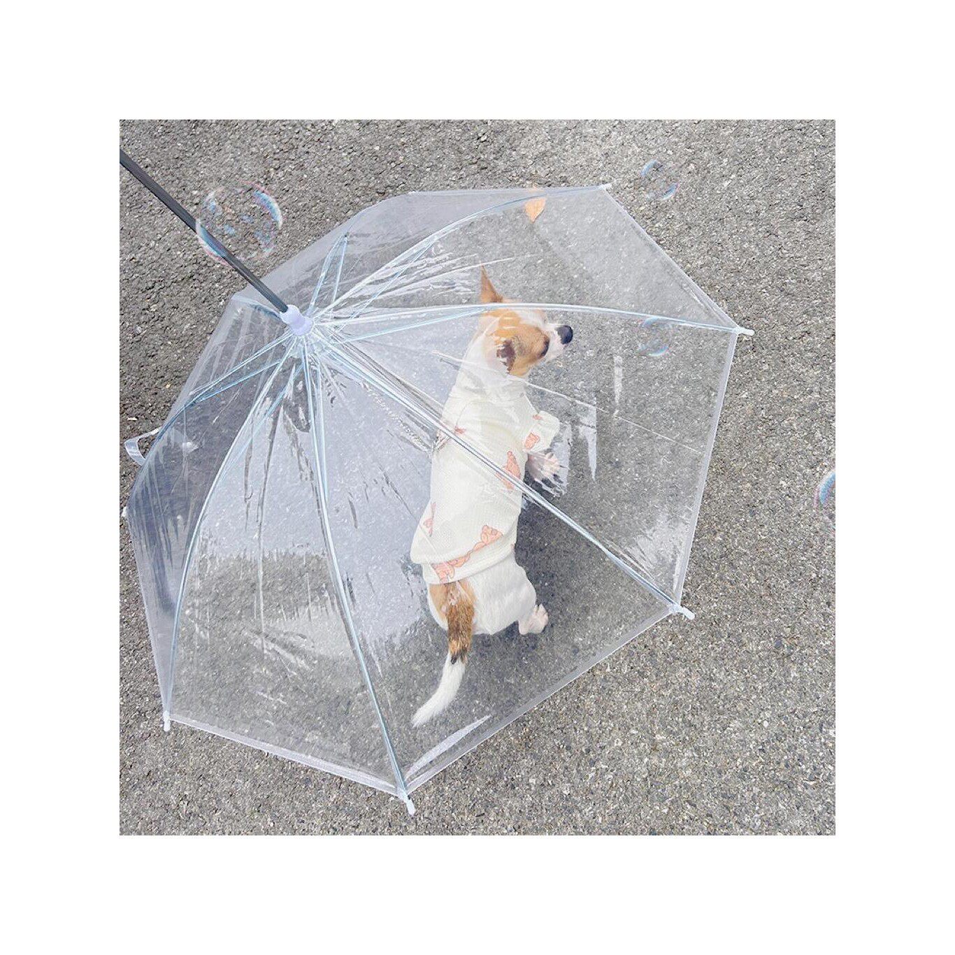 宠物专用狗狗雨伞下雨遛狗柯基雨衣狗用雨伞透明泰迪中小型犬