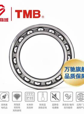 TB/天马精工6306ETW高转速电寿机长命低噪音单通列深沟球轴承M用