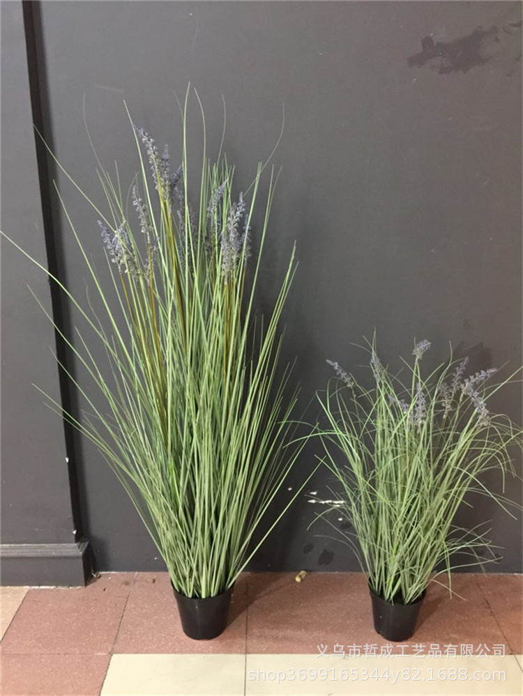 绿植 洋葱草薰衣草仿真植物盆景 家居办公室室内盆栽假树装饰摆件