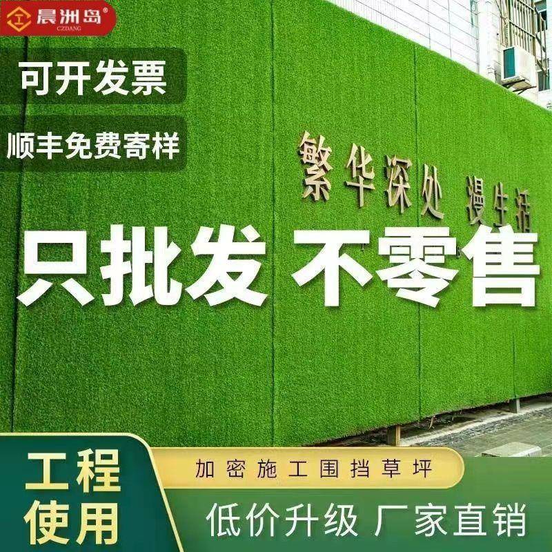 草坪地毯工地围假草挡皮幼儿绿地外绿植园10094173人造户庭院装饰
