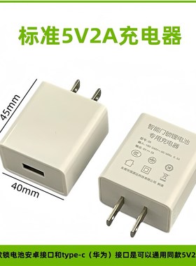 5V2A标准3CCC慢充安卓充电器智能锁锂电池充电线配件