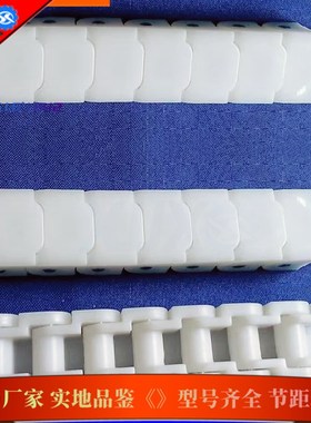 60P-Y型塑料链条白色小龙骨链板19.05mmPP链条传输链齿轮配件