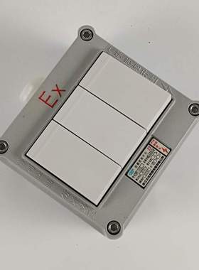 SWB-10A/IIIS防爆照明开关三开单控双控防爆墙壁开关ExdeIIBT6