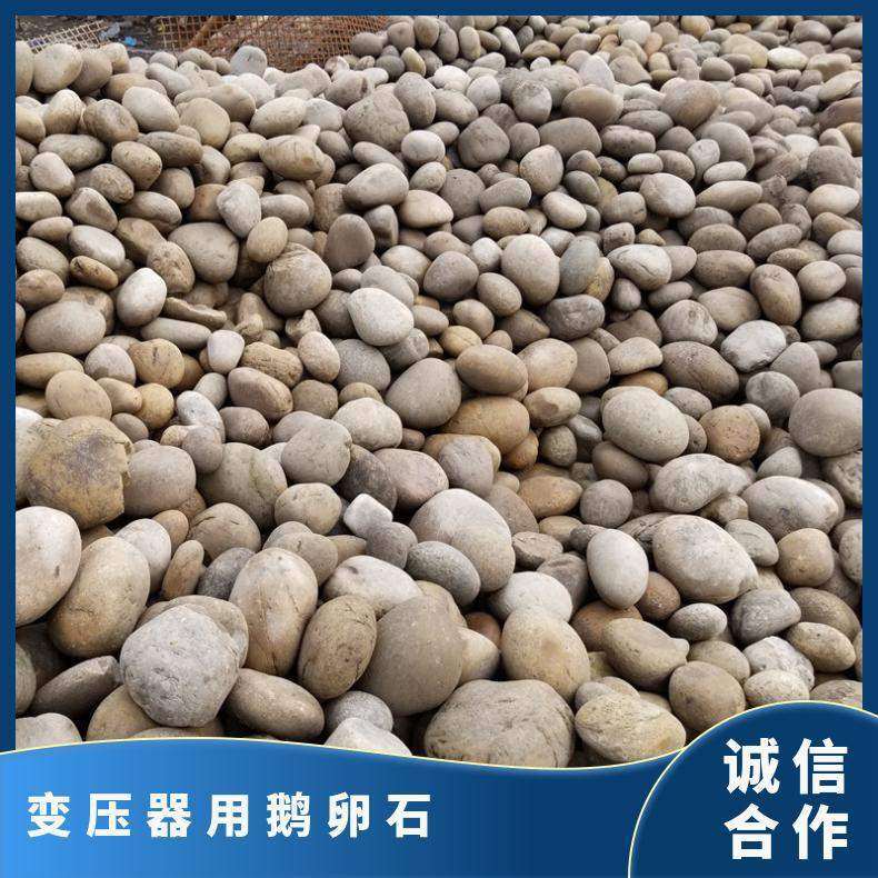 变压器滤油鹅卵石 泥块含量低 黑色、灰色白色暗红色其他变电站鹅