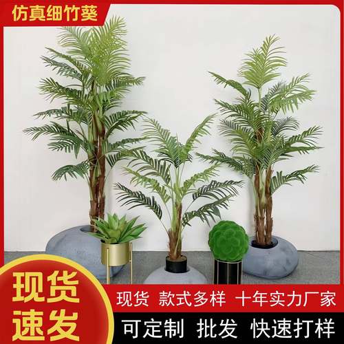 北欧庭院仿真绿植仿真葵树多杆细竹葵凤尾葵大型落地绿植盆栽