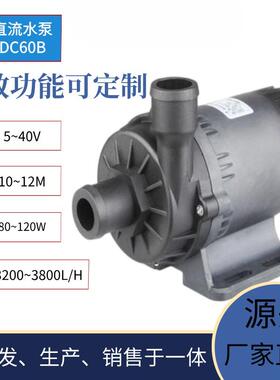 中科新款60B扬程12米流量3800L/H120W电动汽车冷水机冷却循环泵