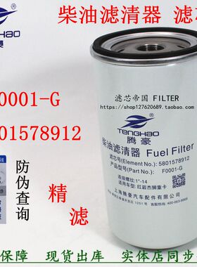 5801578912柴滤芯F0001-G 适配上汽红岩杰狮C13 C9 500柴油滤清器