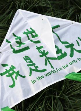 焦野绿商店原创诗歌风筝文创2024年新款小众趣味搞怪文字