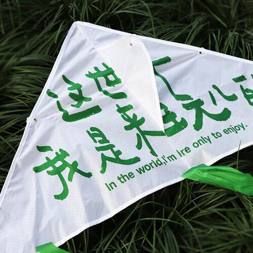 「这世界我是来玩儿的」诗歌风筝