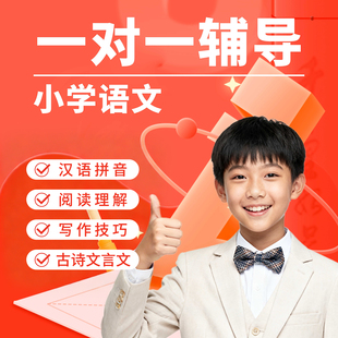 在线辅导小学一二三四五六年级语文阅读理解写作技巧汉语拼音古诗古句文言文专项训练提升线上家教老师一对一辅导真人教学网课
