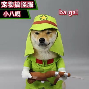 搞怪宠物狗狗小八嘎变身装 日本鬼子变身装 猫咪抖音搞笑八嘎衣服