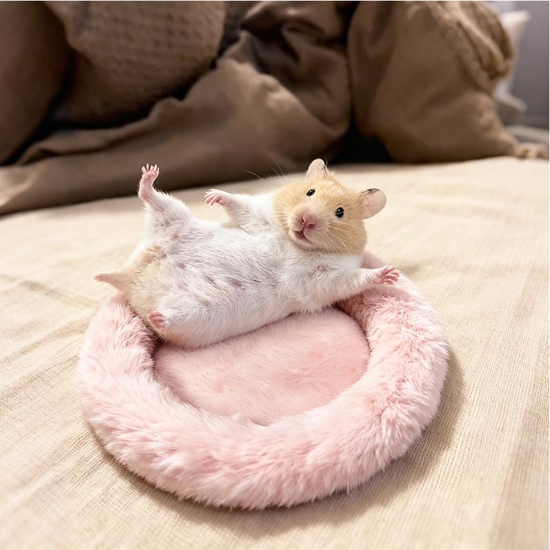 仓鼠窝棉垫兔绒小宠圆形睡觉垫子舒适柔软过秋冬金丝熊棉窝保暖垫