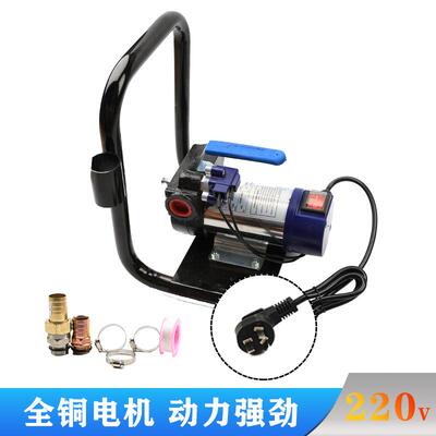 厂自货源型电动吸油泵12V24V220YVSV柴家油泵小便携式柴油输送泵