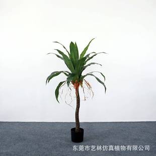 真铁树绿植巴酒店客厅室内大型CTT落地植草物装 饰花盆仿栽西铁盆