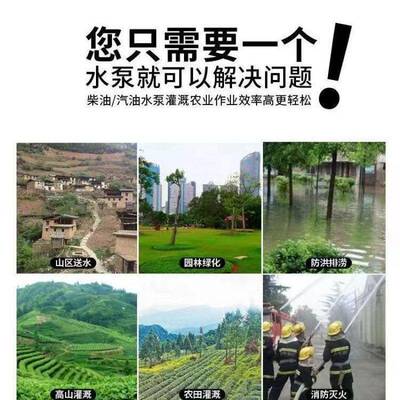 用1寸泵2寸高山AQS泵高压高扬程水抽水机大功柴油汽油率螺杆泵农