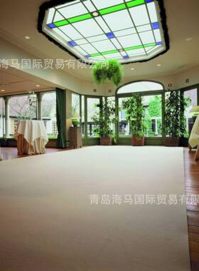 欧DJT水原装进阿尔瓦防滑口地垫商场宾馆门口玄关防滑洲超强吸吸