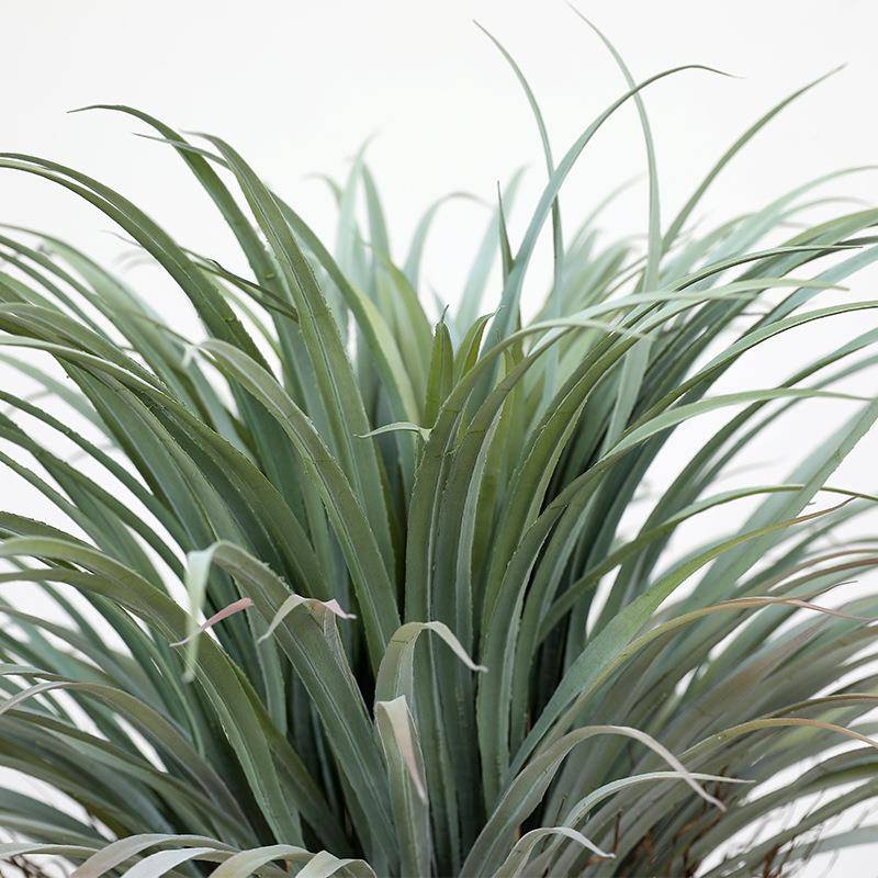 新款XVB仿真龙树室内血大型装绿植客盆栽厅落地盆景室内饰仿真树