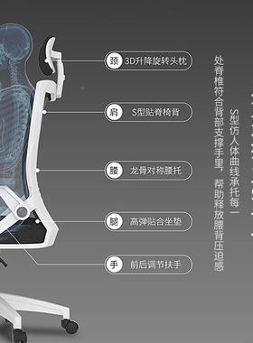 用电脑椅座椅办公电椅家人体学椅宿工竞舍F768MSTM学生椅柔软可升