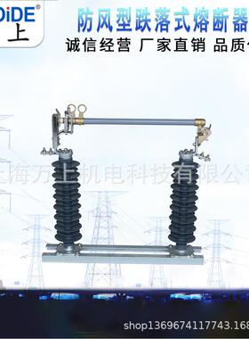 RW5-135/200跌落熔断器H路RW5-40.5/100A户外式线保护令克A保险