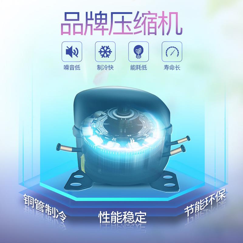 CHB鲜花柜鲜柜冷藏展示冰箱店花艺风保冷单商双三门玻璃门用立式