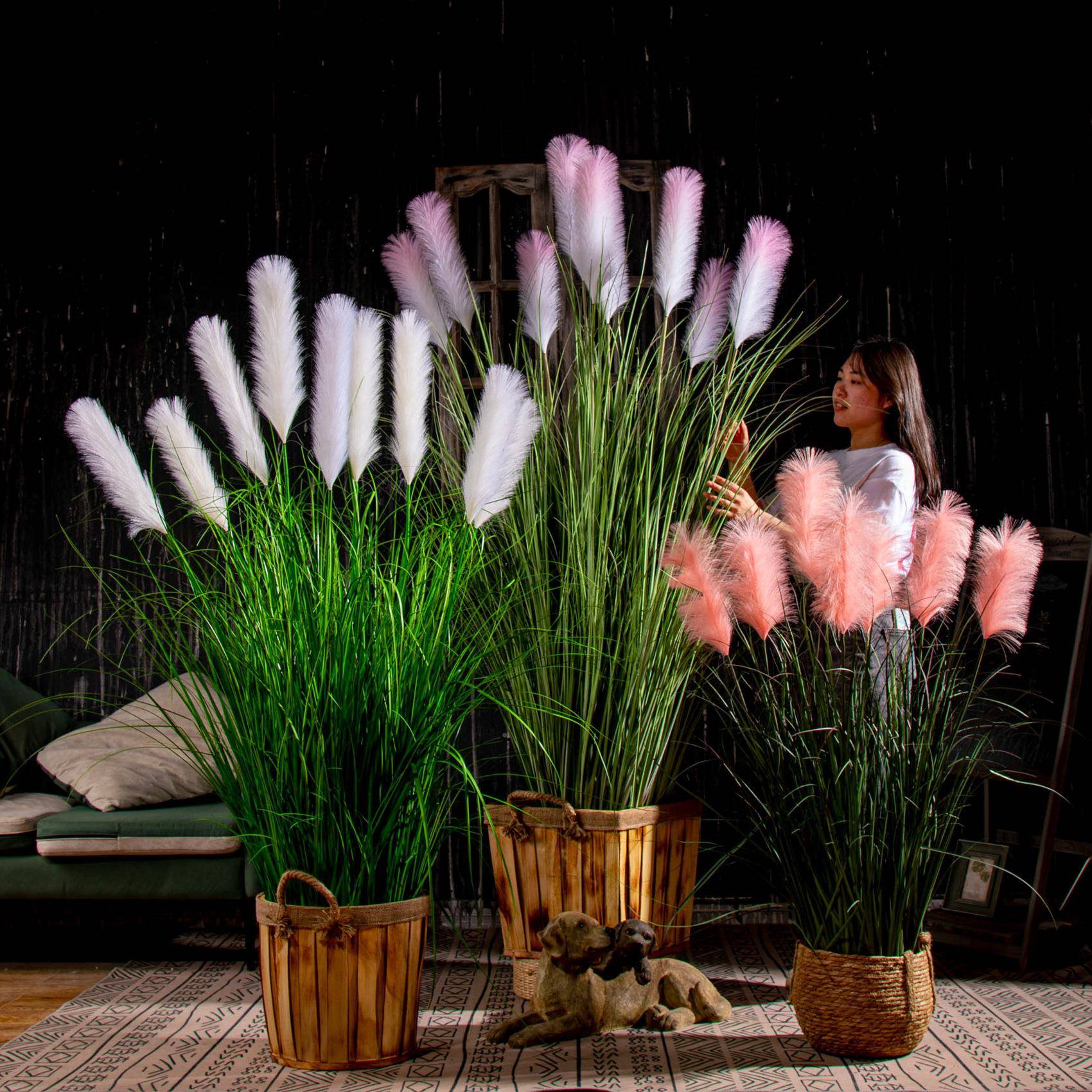 档花芦生苇草真假树植物盆栽客无品牌/厅室内仿绿植装饰橱窗造景